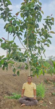 232agro_banyanbhosale05